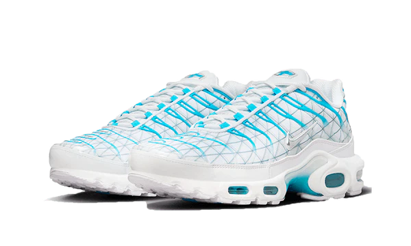 Nike Air Max Plus “Marseille”
